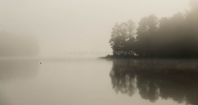 Nebel über dem See, aufgenommen in Polen. Bild-Nummer: 286