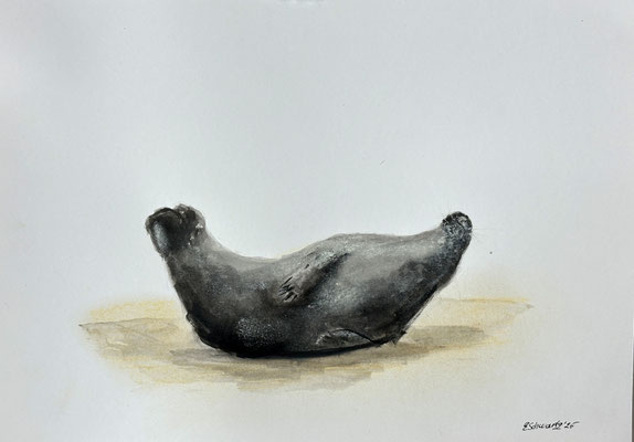 30 x 21 | Tusche / Pastell