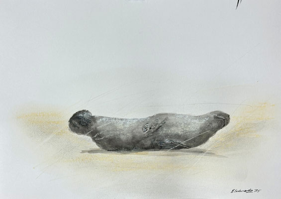 30 x 21 | Tusche / Pastell
