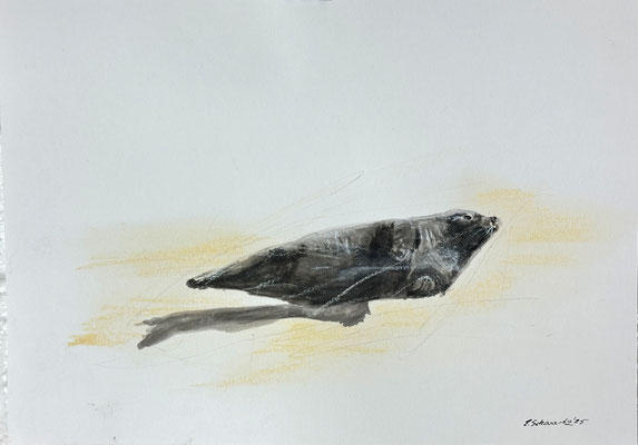 30 x 21 | Tusche / Pastell