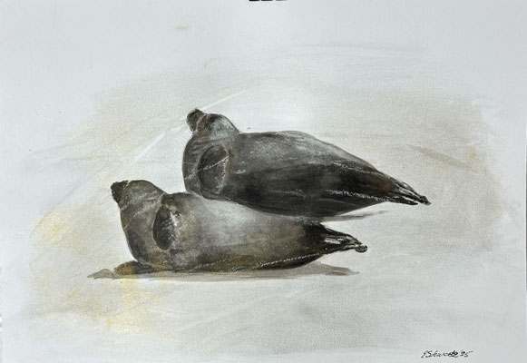 30 x 21 | Tusche / Pastell