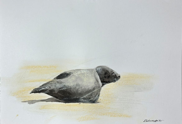 30 x 21 | Tusche / Pastell