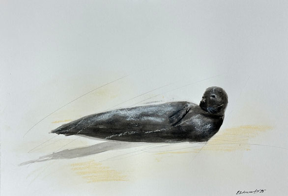 30 x 21 | Tusche / Pastell
