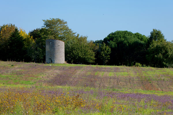 F 7.1 - 1/250 s - 100 iso