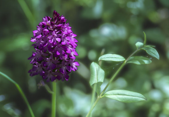 F 8 - 1/640 s - 320 iso