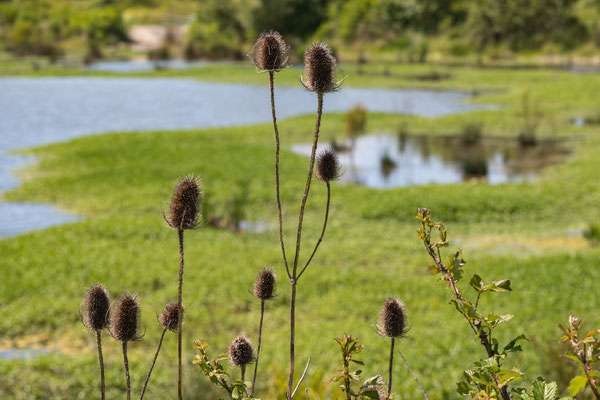 F 9 - 1/160 s - 100 iso