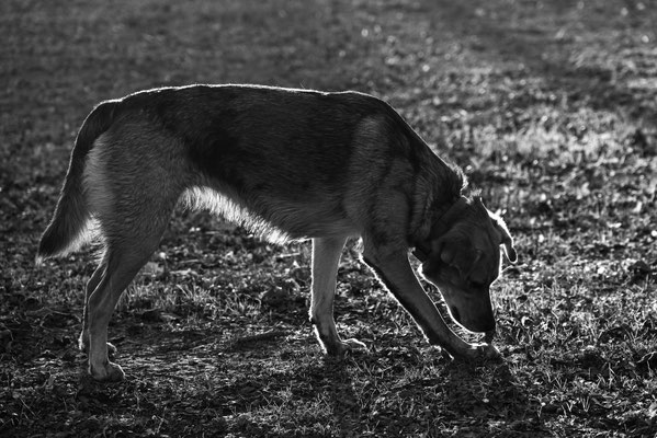 Bénédicte / F 7.1 - 1/400 s - 400 iso