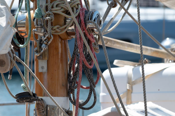 F 9 - 1/100 s - 100 iso