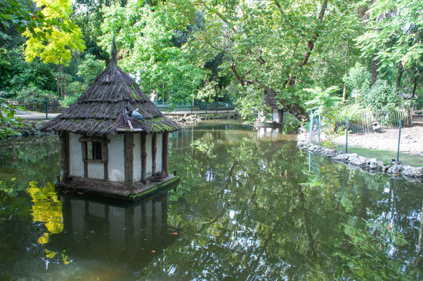 F 10 - 1/15 s - 200 iso