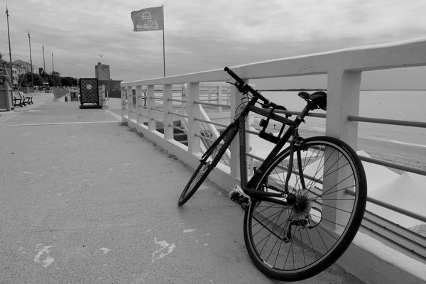 F 5.6 - 1/2000 s - 250 iso