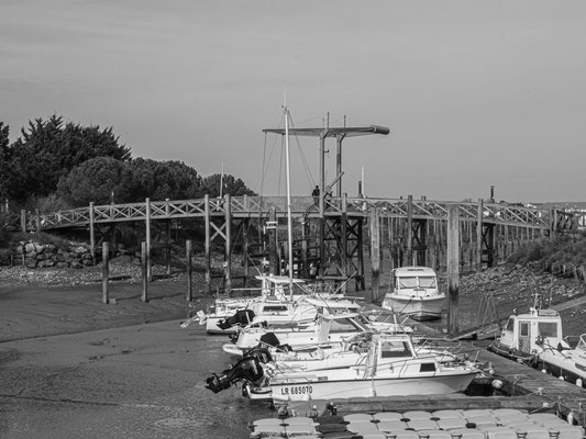 F 22 - 1/125 s - 400 iso