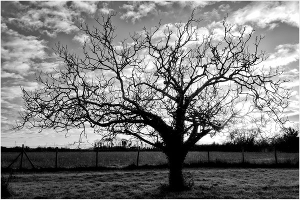 Philippe Vallet / F 9 - 1/60 s - 100 iso