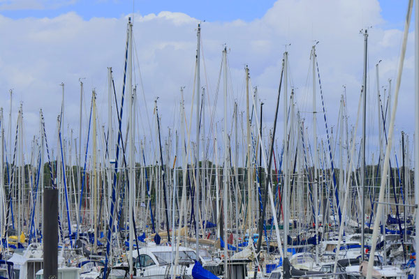 F 5 - 1/1 000 s - 125 iso
