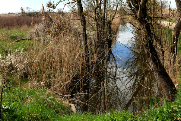 F 11 - 1/80 s - 200 iso