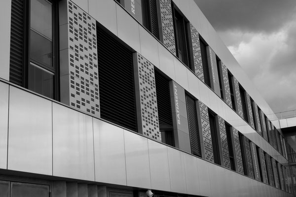 F 6.3 - 1/500 s - 200 iso