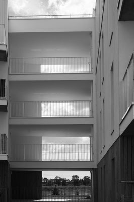 F 8 - 1/1000 s - 200 iso