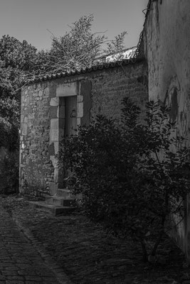 F 9 - 1/120 s - 200 iso