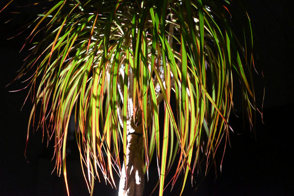 Brigitte / F 5.3 - 1/30 s - 12 800 iso