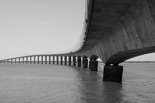F 20 - 1/50 s - 100 iso