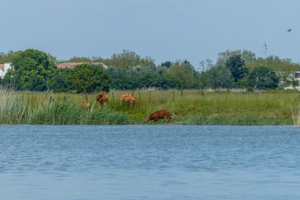 F 8 - 1/320 s - 100 iso