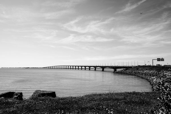 F 8 - 1/640 s - 160 iso