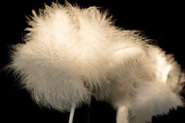 F 3.2 - 1/400 s - 400 iso