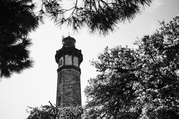 F 4.2 - 1/4 000 s - 100 iso