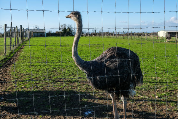 F 8 - 1/240 s - 160 iso