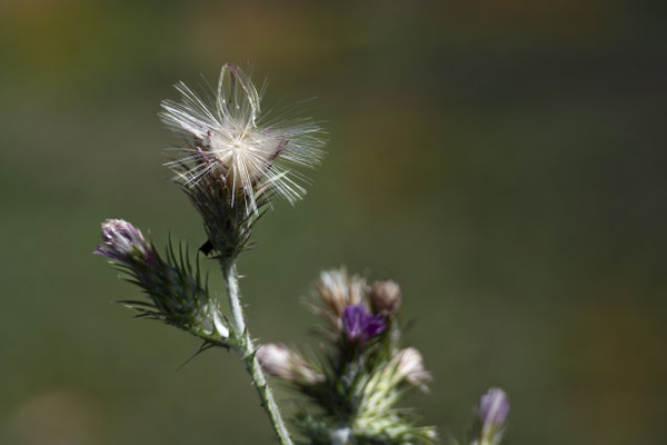 F 7.1 - 1/640 s - 64 iso