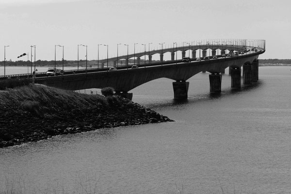 F 11 - 1/200 s - 100 iso