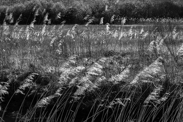 F 16 - 1/75 s - 200 iso