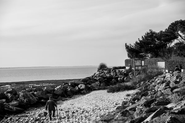 F 5.6 - 1/1250 s - 160 iso