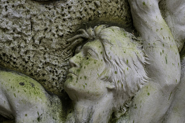 F 10 - 1/110 s - 3 200 iso