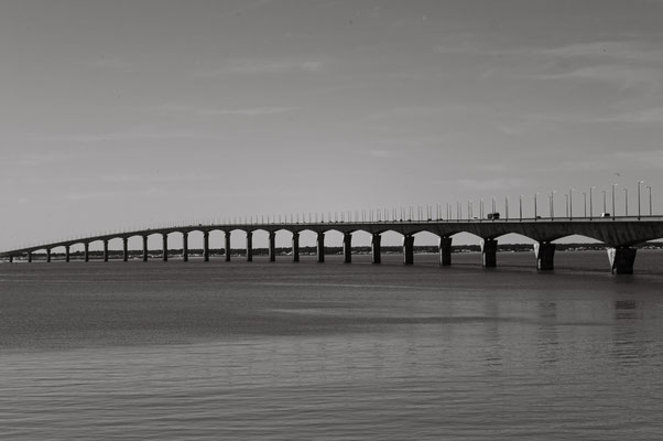 F 5.6 - 1/1600 s - 160 iso