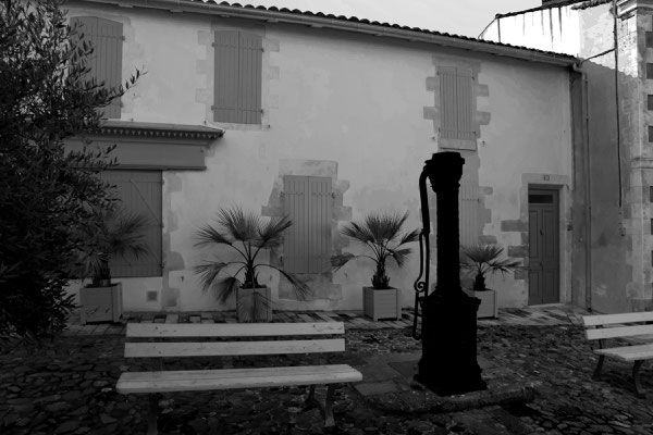 F 10 - 1/100 s - 200 iso