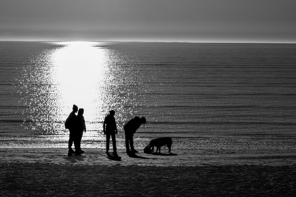 Guy / F 10 - 1/1900 s - 200 iso
