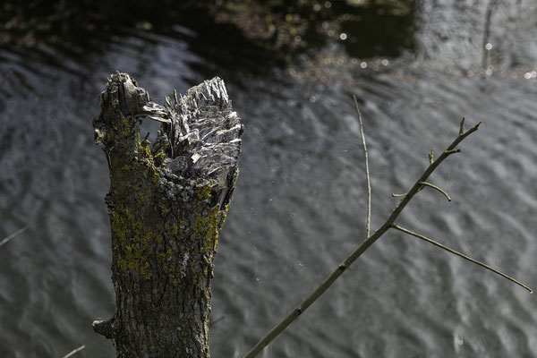 F 6.4 - 1/420 s - 200 iso