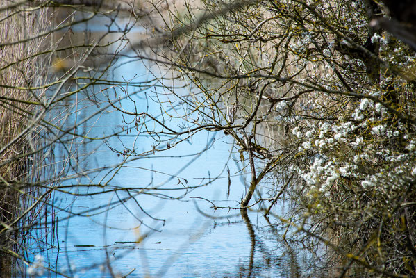 F 8 - 1/500 s - 200 iso