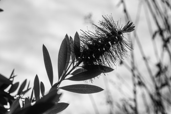 Guy / F 10 - 1/1400 s - 160 iso
