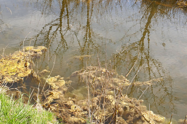 F 8 - 1/80 s - 100 iso