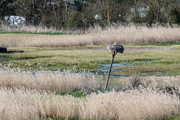 F 8 - 1/250 s - 100 iso