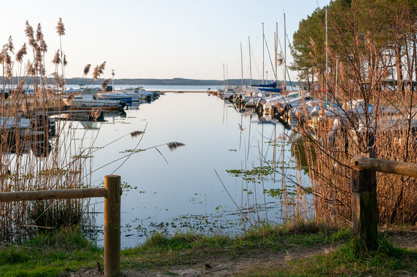 Jean-Jacques / F 7.1 - 1/500 s - 200 iso