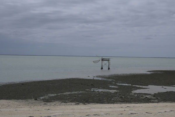 F 6.3 - 1/2000 s - 100 iso