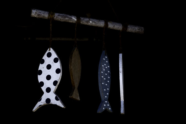 F 8 - 1/250 s - 125 iso