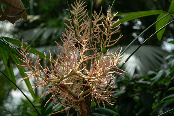 F 7.1 - 1/100 s - 160 iso