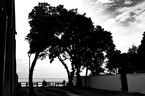 F 10 - 1/320 s - 125 iso