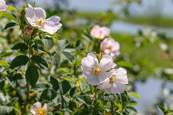 F 5.6 - 1/500 s - 100 iso