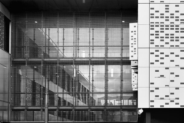 F 11 - 1/100 s - 400 iso