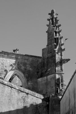 F 8 - 1/320 s - 200 iso
