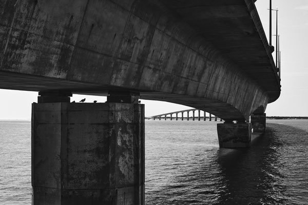 F 6.4 - 1/160 s - 125 iso